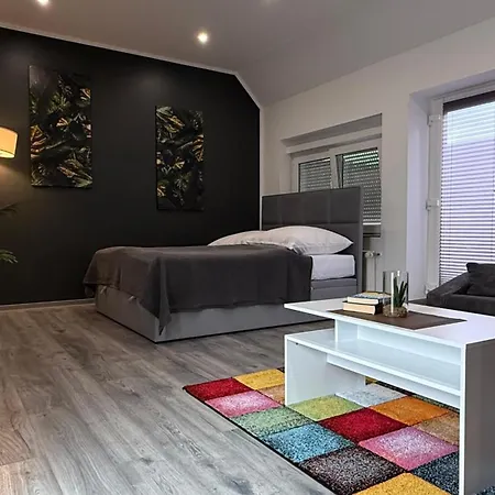 Geräumige Einzimmerwohnung In Apartment