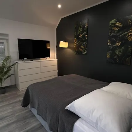 Apartment Geräumige Einzimmerwohnung In