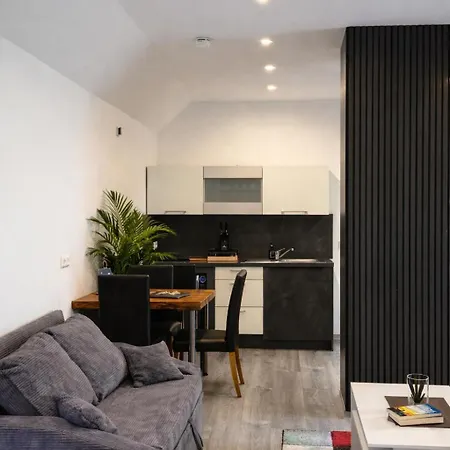 Geräumige Einzimmerwohnung In Apartment Quakenbrück